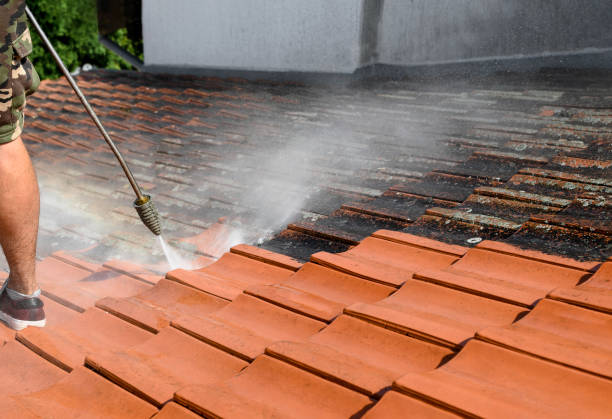 Best Local Pressure Washing Services  in Socastee, SC